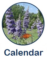 Calendar button