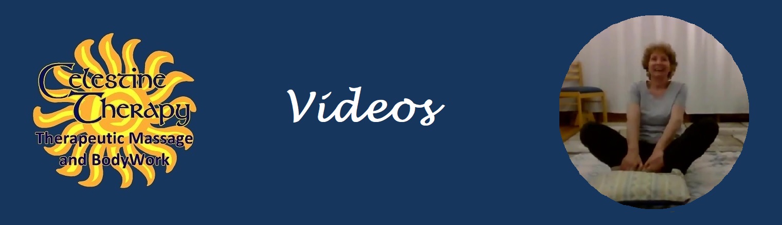 videos title